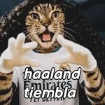 gato cucurella 😎