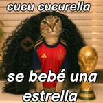 gato cucurella 😎