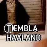 GATO 🐱 CUCURELLA