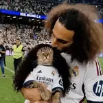 GATO 🐱 CUCURELLA