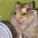 🐹💄HAMSTER Maquillándose💄🐹