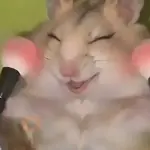 🐹💄HAMSTER Maquillándose💄🐹
