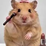 🐹💄HAMSTER Maquillándose💄🐹