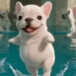 Pibble Dog TikTok ✨🐾🌈