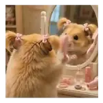 Hamster maquillándose 🐭🖌️💋
