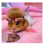 Hamster maquillándose 🐭🖌️💋