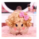 Hamster maquillándose 🐭🖌️💋