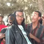 Animated Memes