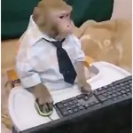 🐒🎅🏿monitos