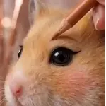 🐹💄 Hámster Maquillándose 💅🏻💋