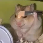 🐹💄 Hámster Maquillándose 💅🏻💋