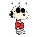 Snoopy Sunglasses ✨🐾
