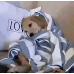 ANIMAL REACTION
