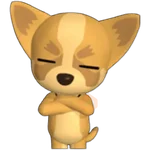 🐾chihuahuas 🐾