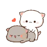 Mochi CAT LOVE 💘 AMOR