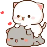 Mochi CAT LOVE 💘 AMOR