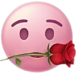Emojis rosa pink amor 🩷🌸😊