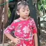 Memes Rosita TikTok 🌹