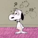 Snoopy Show-Moods 15✨