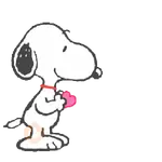💕💖 AMOR • LOVE 💖💕
