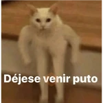 Memes para Responder 2.0