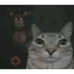 Animals cursed