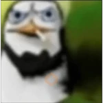Animals cursed