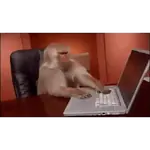 Monitos