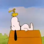 Snoopy situación meme🐾✨