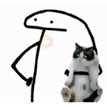 🐱 Gatos e Bichos Fofos
