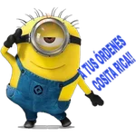 minions💛💛💛💛 