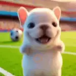Pibble Dance🐶