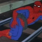 Spiderman 🫡