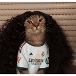 Mar Cucurella - Gato 😸