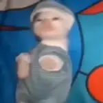 gatos de todo tipo