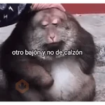Monitos