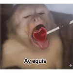 Monitos