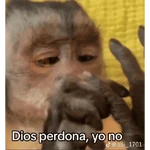 Monitos