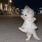 Gatos bailando 🐱🐾 TIKTOK 📲