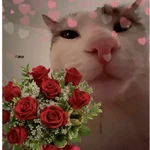 amor com safadezas