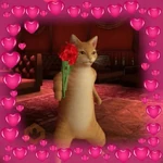amor com safadezas