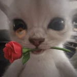 amor com safadezas