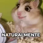 Hámster Maquillándose 💄🐹