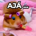 Hámster Maquillándose 💄🐹