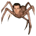 spiderman meme