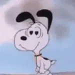 Snoopy animado 🦴🏡