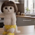 Gatos Dance Tiktok😺🍓