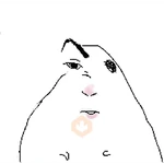 Hámster dibujo meme