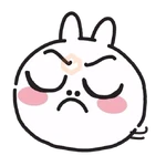 Funny Conejo Emoji 🐰✨