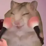 💄 Hamster Maquillándose 🎀💅